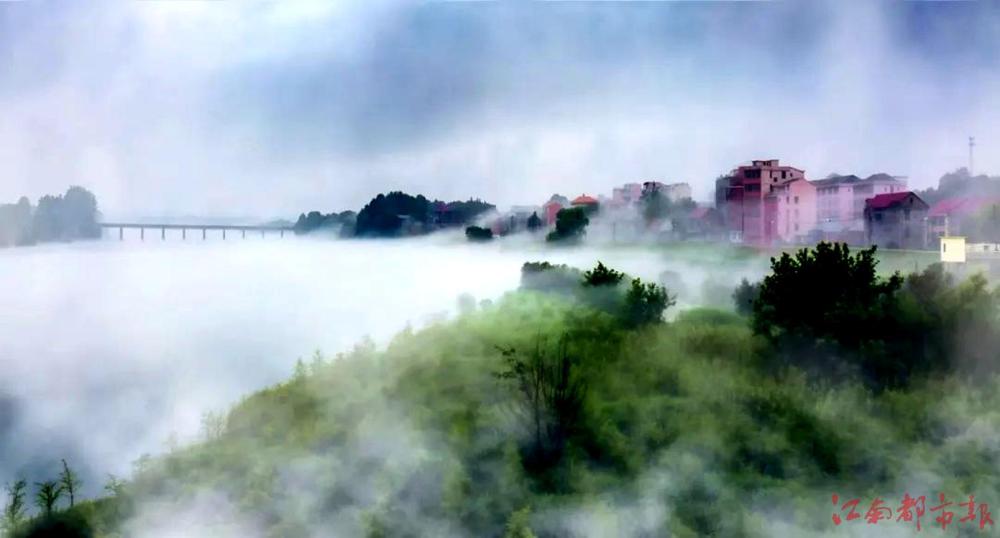 “雨后贛江新區：云霧繚繞，人間仙境！