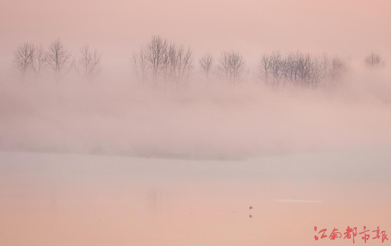 IMG_6874.PNG IMG_6874.PNG