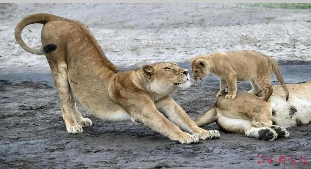 IMG_6869(20220708-091703).JPG IMG_6869(20220708-091703).JPG