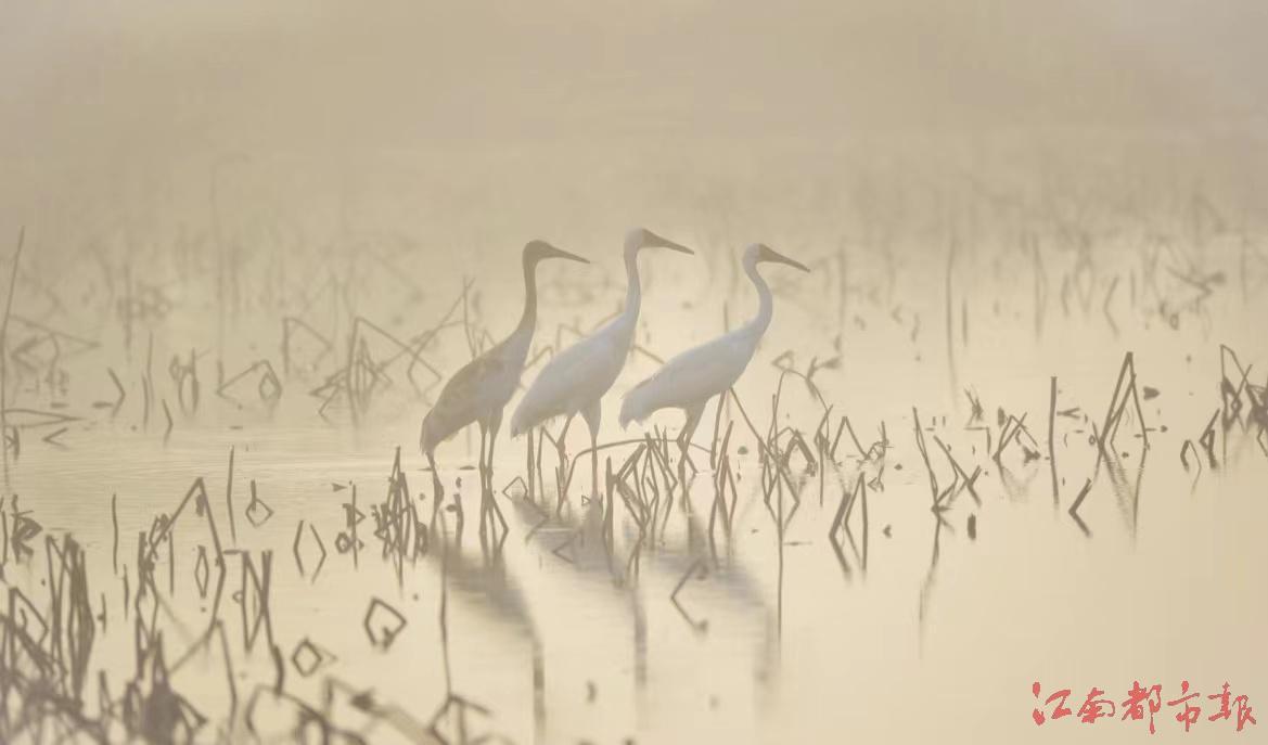 IMG_6872(20220708-091733).JPG IMG_6872(20220708-091733).JPG